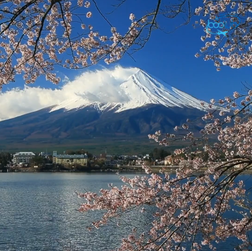 부럽 일본 버스투어 🚌