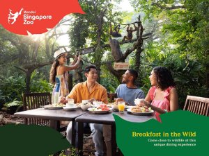 콤보: 싱가포르 동물원 + 동물원에서 즐기는 아침 뷔페 식사
