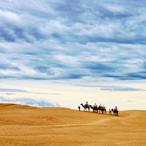 몽골 아르항가이 미니 고비사막 단독 투어 / 울란바토르 출발