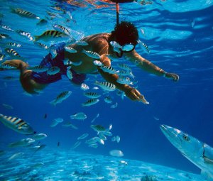 [푸꾸옥] 한국인 가이드 보물섬 호핑투어