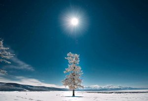 [몽골] 홉스골 + 차탄족 + 도트 강 투어 7박 8일