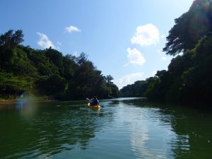  [오키나와](카데나 출발)히자강 맹그로브 탐험 카약 투어