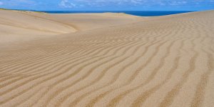 [프라이빗 1박2일 온천 투어]톳토리/시마네/이즈모대사/코난/마츠에성(코베 오카야마 출발)