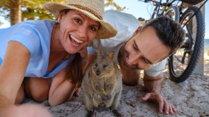 로트네스트 아일랜드 왕복 씨링크 페리 이동 서비스