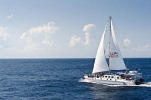 [발리] 아리스토켓 크루즈 (최대 30명)