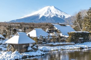 [도쿄](후지산/하코네투어])하루에 후지산과 하코네를 동시에 체험해보는 프라이빗투어! 2명부터OK