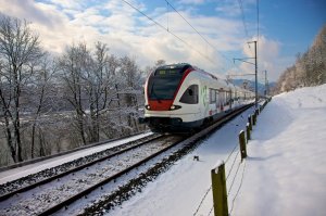 스위스 트래블 패스 패밀리 카드 (연속일)