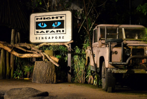 [시간지정/사전등록필요없음] 싱가포르  나이트 사파리 & 트램 이용권