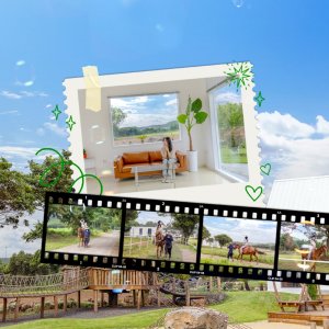 [제주] 알프스 제주 승마체험