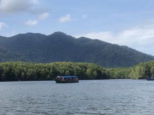 랑카위 유네스코 지질공원 맹그로브 보트 투어  