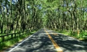 [후쿠오카]온천1박2일 프라이빗투어 