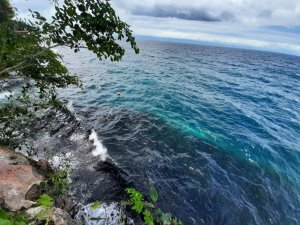 [한국인가이드] 보홀 나팔링 체험 프리다이빙 - 고프로촬영