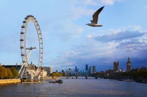 콤보)  런던 아이 & 런던 씨 라이프 아쿠아리움