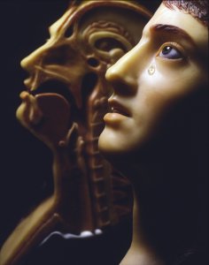 파리 인류 박물관 : 우선 입장 티켓