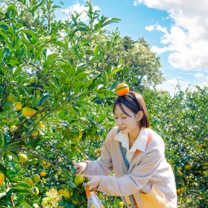 [제주] 돌담프룻 이용권
