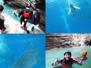 [패스트트랙] 오슬롭 고래상어 캐녀닝  모알보알 호핑 (조인단독 공항픽업무료)