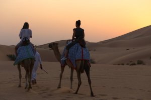 (두바이 출발) 사막 사파리 투어 및 바비큐 디너