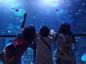 아쿠아리아 푸켓 