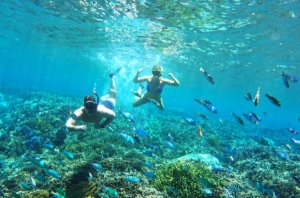 (한국어가이드) 발리 누사페니다 섬 스노클링 투어