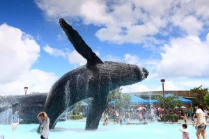  (가오슝 근교) 핑둥 컨딩 국립해양생물박물관 & 아쿠아리움 (아시아 최대 규모 해저 터널!)