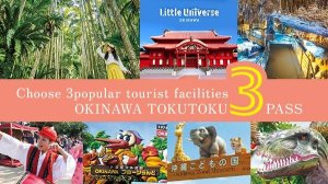 [오키나와]  오키나와 츄라우미 토쿠토쿠3패스