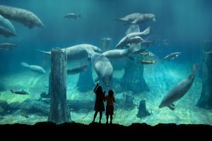  리버 원더스 싱가포르