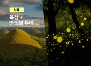 [보홀트래블] 보홀 데이투어 (육상+반딧불투어)