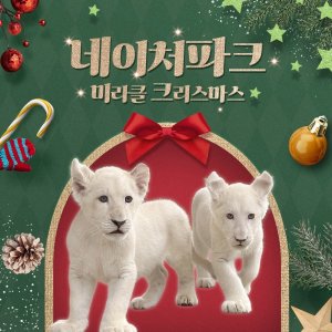 [대구] 네이처파크 스윗윈터페스티벌 이용권