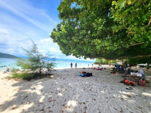 코타키나발루 사피섬 + 마누칸 또는 마무틱 섬 투어