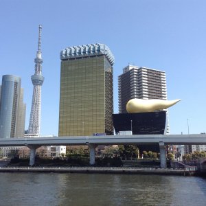  [도쿄](도쿄시내투어])자유롭게 코스변경이 가능한 도쿄시내 1일  프라이빗투어! 2명부터가능~