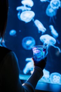 [훗카이도]AOAO SAPPORO 수족관 입장권