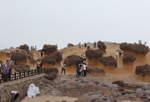 [타이페이] 예스지 베테랑 택시기사 프라이빗 투어