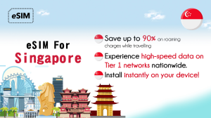 싱가포르 에어허브 e심카드