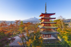 (한국어가이드) 도쿄 후지산 핵심코스 1일 버스투어