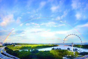  (콤보) 싱가포르 플라이어 관람차 + 가든스 바이 더 베이