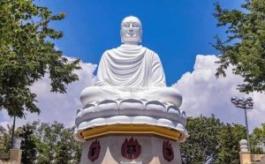 [나트랑]나트랑 시내 체크아웃 투어