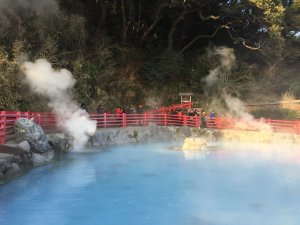 [벳부/유후인/히타/후쿠오카] 프라이빗 1일 투어 