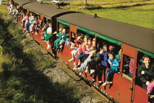 [한국인가이드]  퍼핑 빌리 증기관차 & 사사프라스 투어