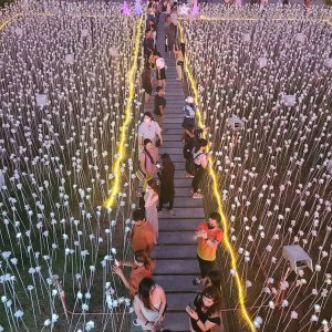 [세부] 어메이징 데이 & 체크아웃 투어