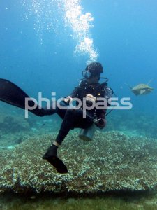 [세부] 체험 스쿠버 다이빙