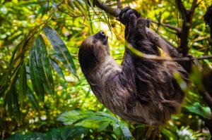  그린 플래닛 두바이