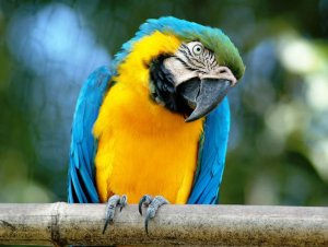 바이오파르코: 로마 동물원