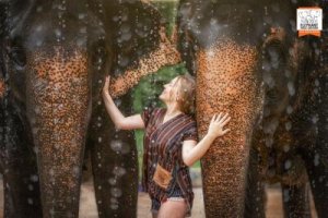 [푸켓] 코끼리 보호 캠프(Elephant Jungle Sanctuary) 방문