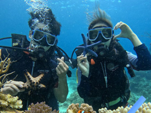 [괌] 한국인매니저 스쿠버 다이빙 체험 스노쿨링포함 픽업포함 찰스마린스포츠