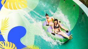  (콤보) 어드벤처 코브 워터파크 + 가든스 바이 더 베이 입장권