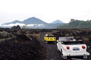 [발리] 발리 바투르 화산 폭스바겐(Batur Volkswagen) 지프 사파리 투어