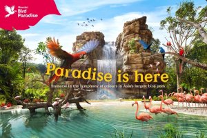 [싱가포르] 버드 파라다이스 입장권 - 주롱새공원 폐쇄로 새롭게 오픈한 새공원