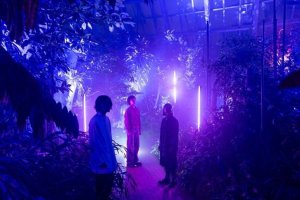 교토 식물원 야간 라이트 쇼 ‘라이트 사이클 교토’ 티켓