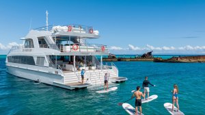 호주 골드코스트 : 돌고래 & 탕갈루마 난파선 크루즈 투어