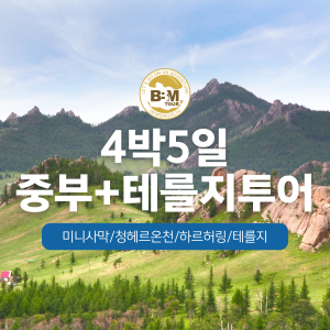 [몽골] 중부투어(미니사막,온천,호수,테를지) 4박5일